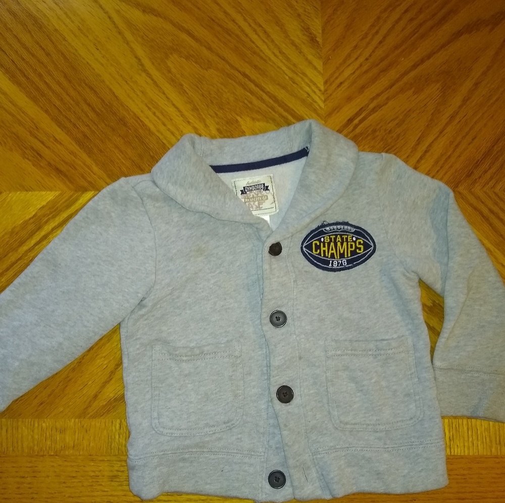 Size 4 Gray Gymboree Sweater